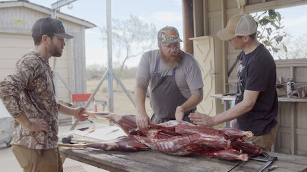 Regarder Le cerf de Virginie... au Texas. Épisode 3 de la saison 11.