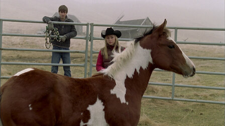 Watch Wild Horses. Episode 16 of Season 5.