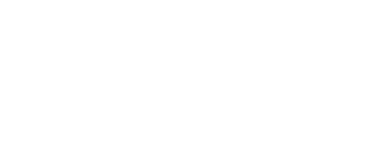 Trailer Park Boys: The Movie