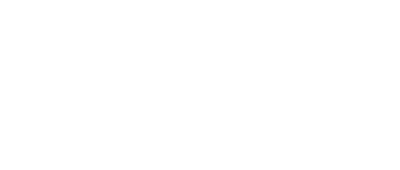 The Tutor