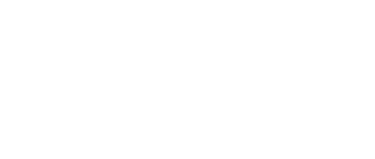 Merry Men 2: Another Mission