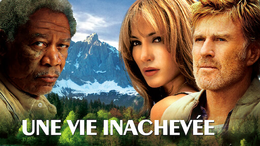 Une vie inachevée