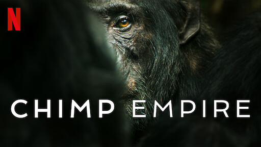 Chimp Empire