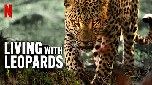 Living with Leopards