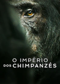 O Império dos Chimpanzés